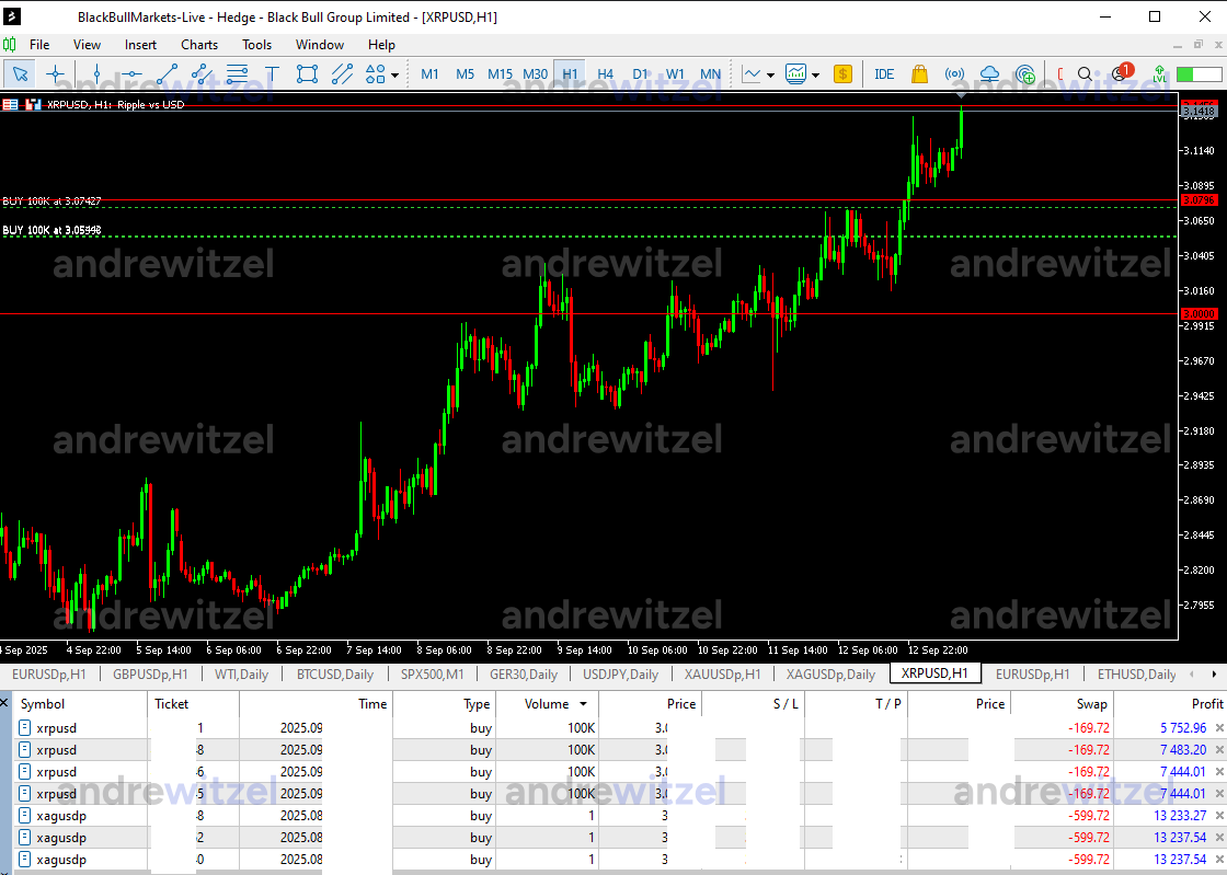 Andre Witzel Open Live Trades Example
