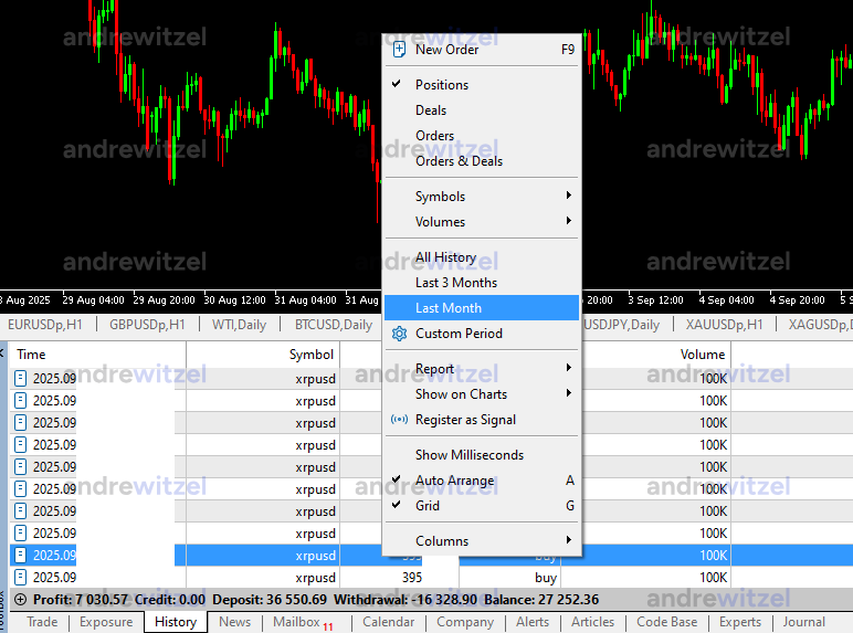 Andre Witzel Monthly Performance Small Account